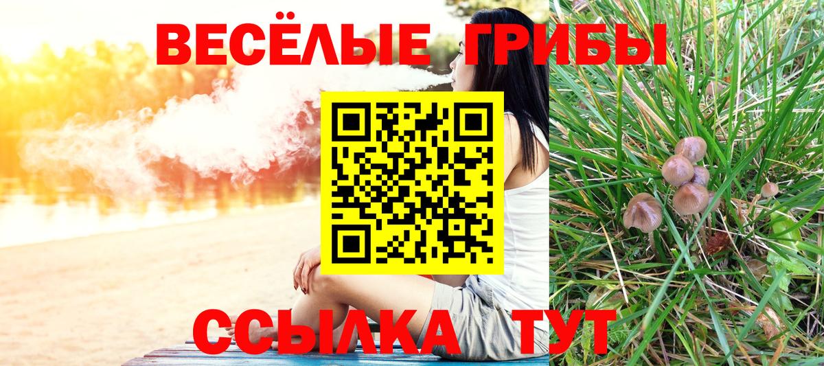 Псилоцибиновые грибы мухоморы Рассказово
