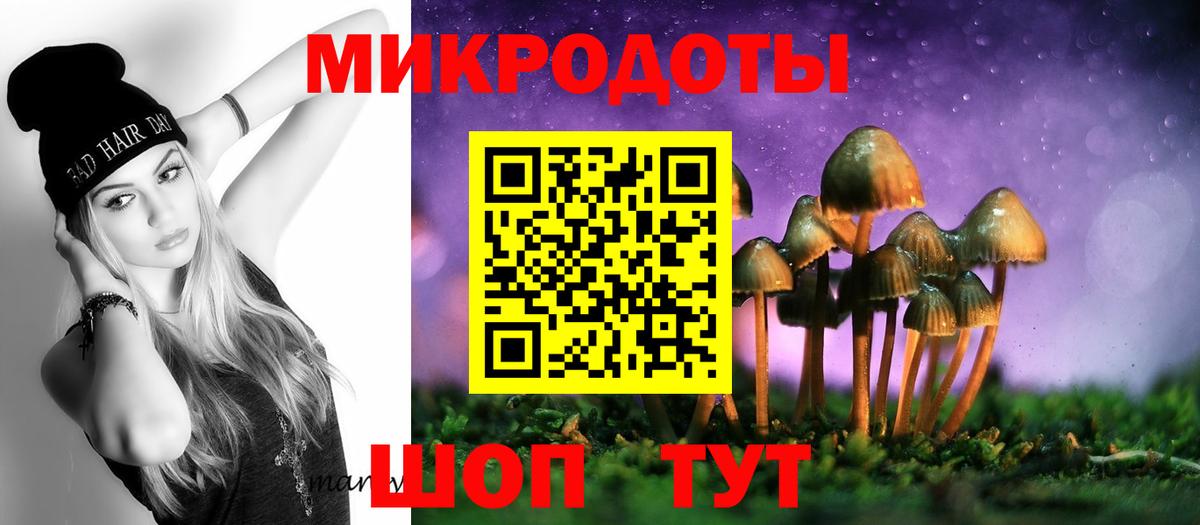 Галлюциногенные грибы MAGIC MUSHROOMS  Вход с VPN  Рассказово 